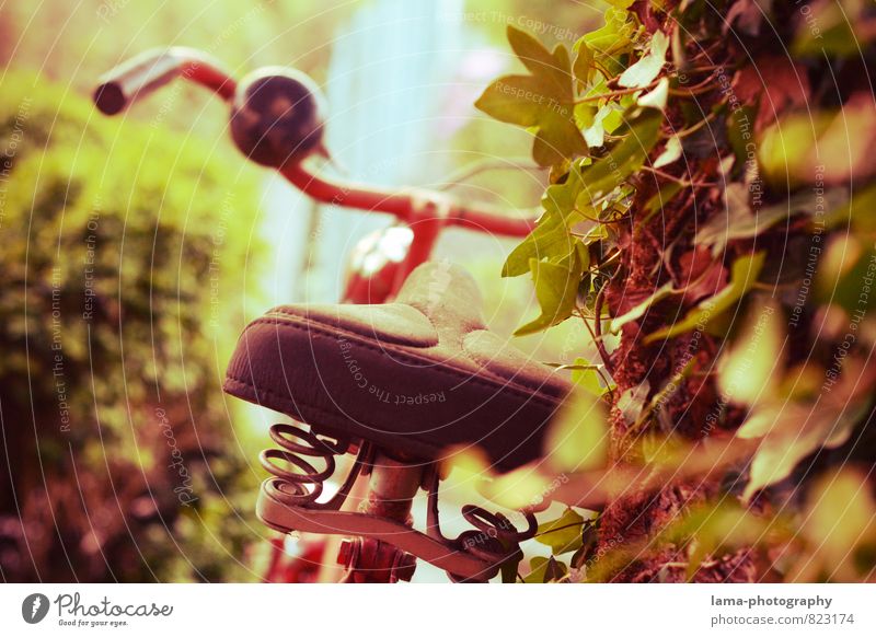 Ruhepause Freizeit & Hobby Ferien & Urlaub & Reisen Fahrradtour Sommer Efeu Park Fahrradfahren Fahrradsattel Fahrradklingel Fahrradlenker Metallfeder Erholung