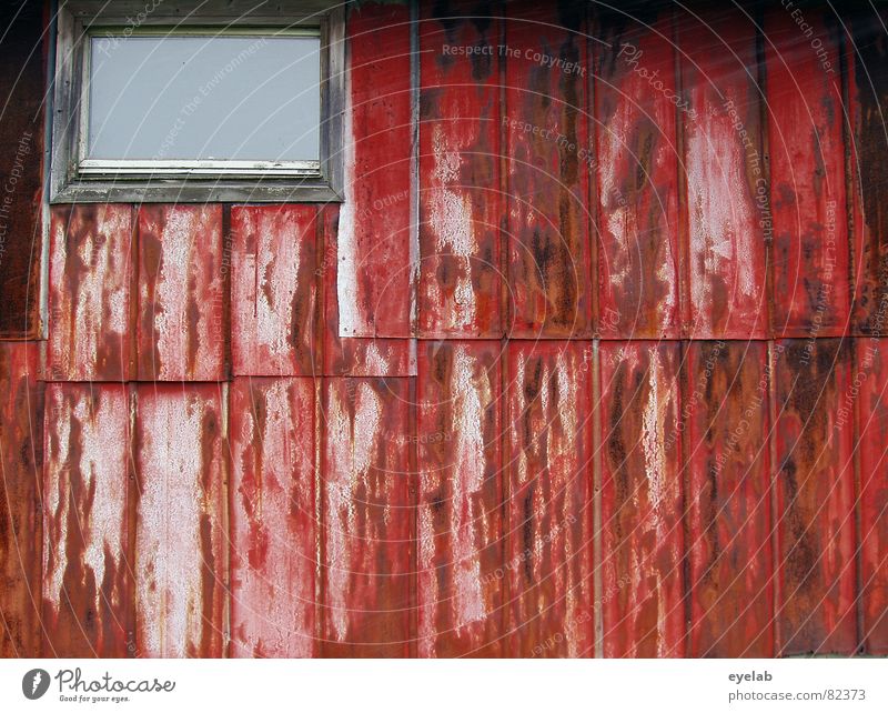 Love Shack (Folge 2: Einblick erschwert) Wand Blech Stahl Rust rot Fenster Insolvenz Stall Landwirtschaft Verfall Rost Hütte Saustall Baracke verfallen