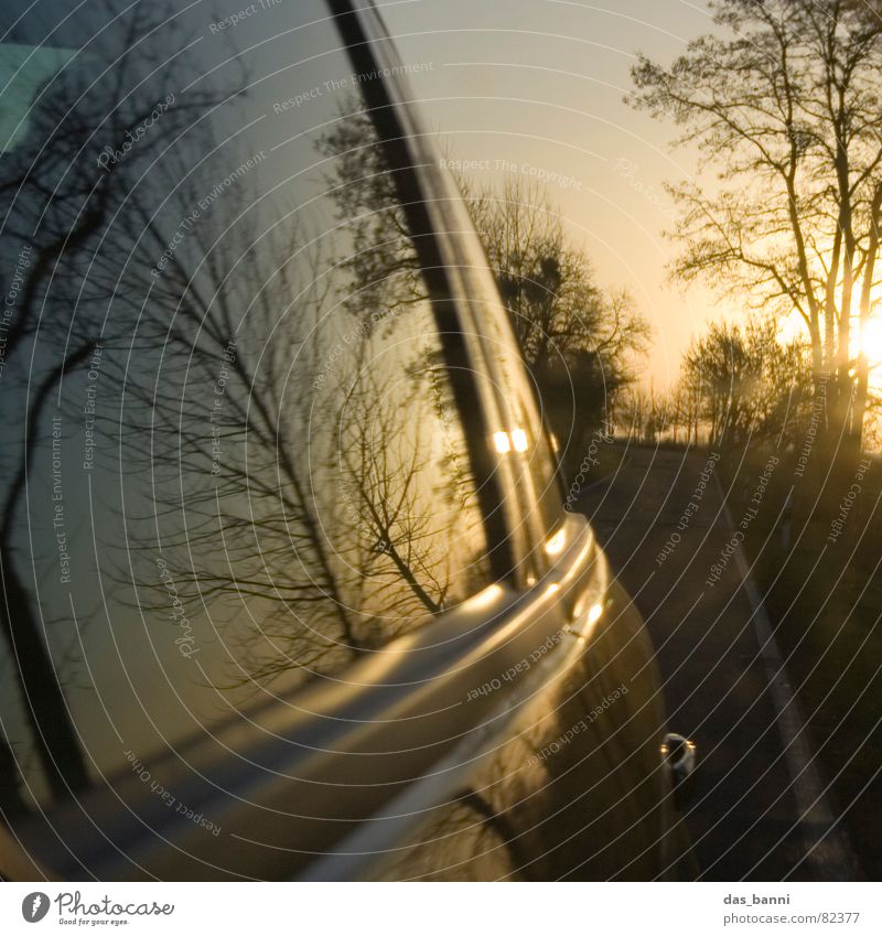 turn around Wagen Fernstraße Fahrtwind unterwegs Verkehrsmittel Geschwindigkeit Reflexion & Spiegelung Sonnenuntergang Physik Herbst kalt Baum Fenster