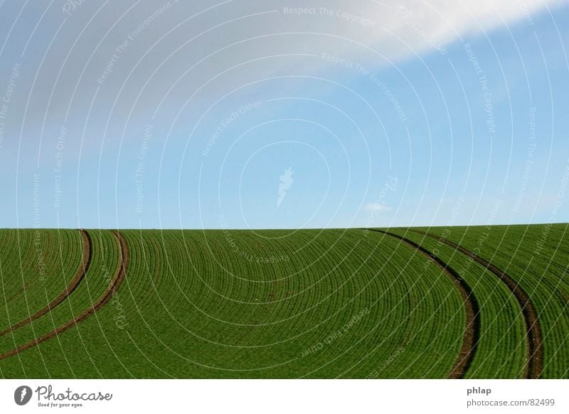 Ackerkurve Feld Landwirtschaft Wege & Pfade grün zyan Frühling horizontal Horizont ruhig Ferne Unendlichkeit Biegung Ackerbau Landschaft Kurve Himmel blau