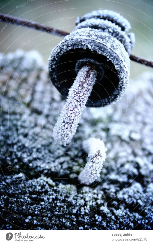 Eiskalt Holzpfahl Draht Weidezaun Raureif Wiese frisch Viehweide Grünfläche Winter Ringisolator Kristallstrukturen Frost frostgefühl kältegefühl Leitung Schnee