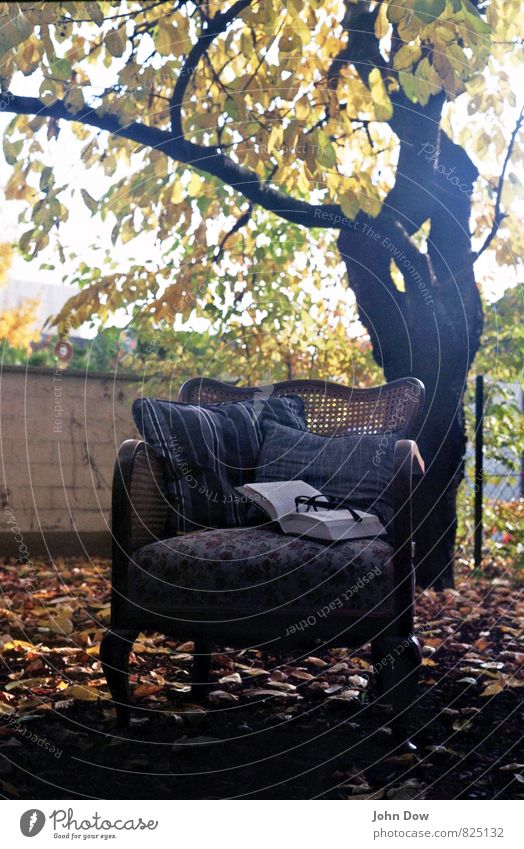 Mon Repos Freizeit & Hobby lesen Sonnenaufgang Sonnenuntergang Herbst Pflanze Baum Sträucher Blatt Denken kuschlig Warmherzigkeit Sessel Garten antik Antiquität