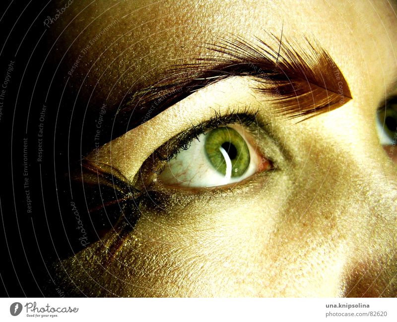 federn II Pupille Licht fixieren Regenbogenhaut Auge staunen Perspektive Gesicht Aussicht Einblick Flüchtiger Blick Flirten kulleräugig weich Frau Feder