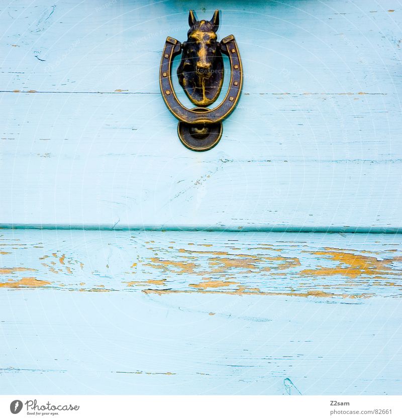 klopf, klopf Hufeisen Griff Pferdekopf ländlich Haus Eingang geschlossen Bronze glänzend Holz Holztür Streifen Linie Häusliches Leben Tür blau
