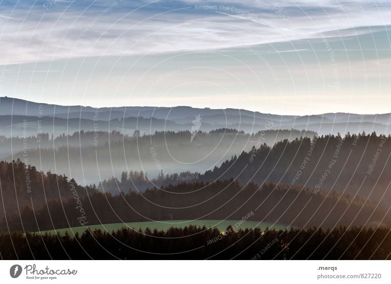 Guten Morgen Schwarzwald Tourismus Ausflug Umwelt Natur Landschaft Urelemente Himmel Horizont Frühling Sommer Klima Schönes Wetter Nebel Wald Hügel