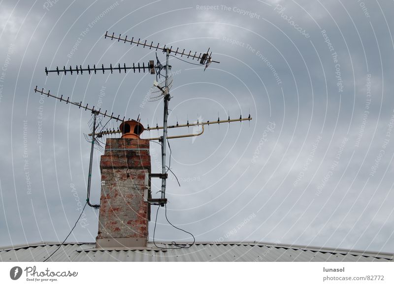antena Sydney Fernsehen Detailaufnahme roof overcast communicate reception grey antenna