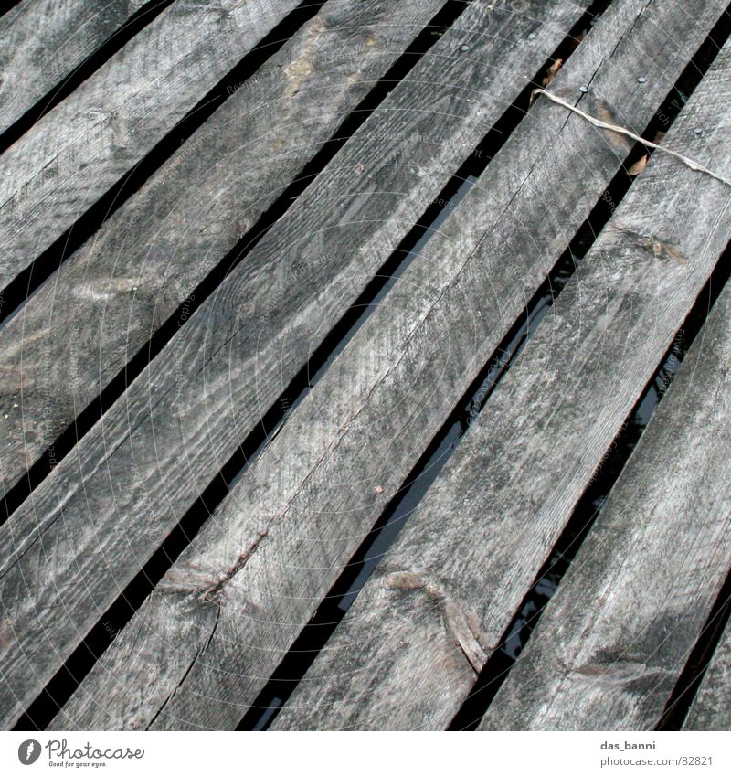 surface Charakter See ausgebleicht Holz Steg diagonal Gemälde Strukturen & Formen Untergrund Vogelperspektive Splitter Gewässer Angeln Wasserfahrzeug grau