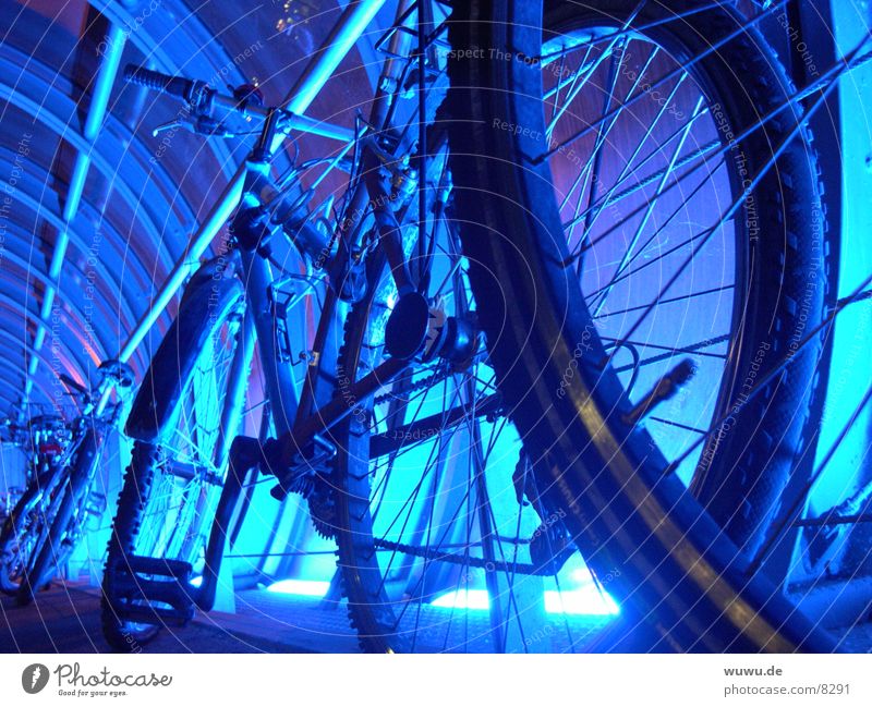 bluebikes Neonlicht Tunnel Fahrrad rund Silhouette Licht Nacht Elektrisches Gerät Technik & Technologie blau Eisenrohr Detailaufnahme Profil Glas