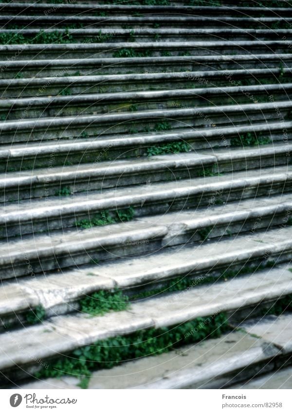Treppe in Venedig verfallen Detailaufnahme zuwachsen Stein