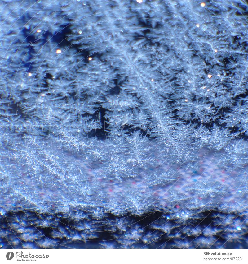 Eiskratzen ... blau Lithiumchlorid Eisblumen gefroren kalt frieren Muster Schneeflocke Windschutzscheibe Wagen Winter Makroaufnahme Nahaufnahme Corsa