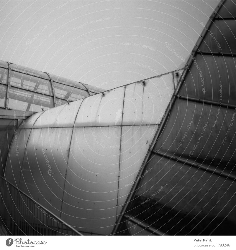 graz 3/03 (3) Glasbläser Haus schwarz Gebäude März Österreich Botanik Gewächshaus steil Quadrat Spiegel Reflexion & Spiegelung grau streben Fenster pflanzlich