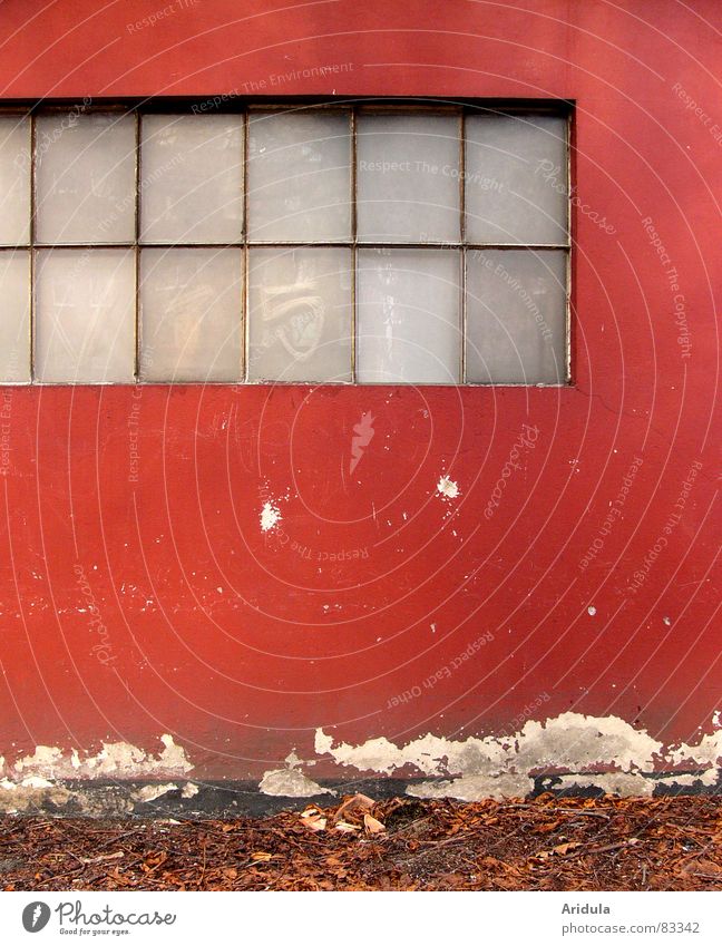 rote wand Wand Verfall kaputt Haus Garage Werkstatt Fenster trüb blind Putz Blatt Herbst braun Zähne zeigen Gebäude Strukturen & Formen Untergrund Anstrich