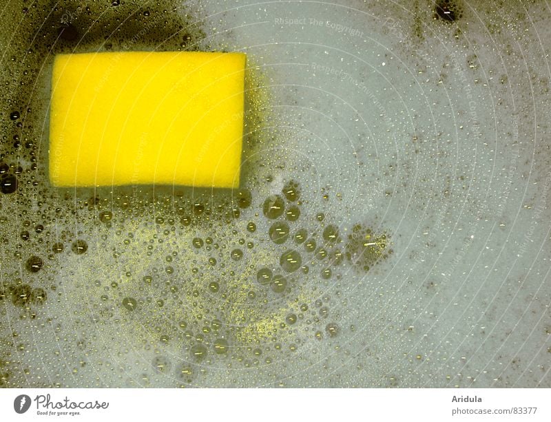 schwamm im schaum Spülmittel Schaum Geschirrspülen Küche gelb Reinigen Luftblase Reflexion & Spiegelung Wasseroberfläche Reinigungsmittel Waschmittel Schwamm