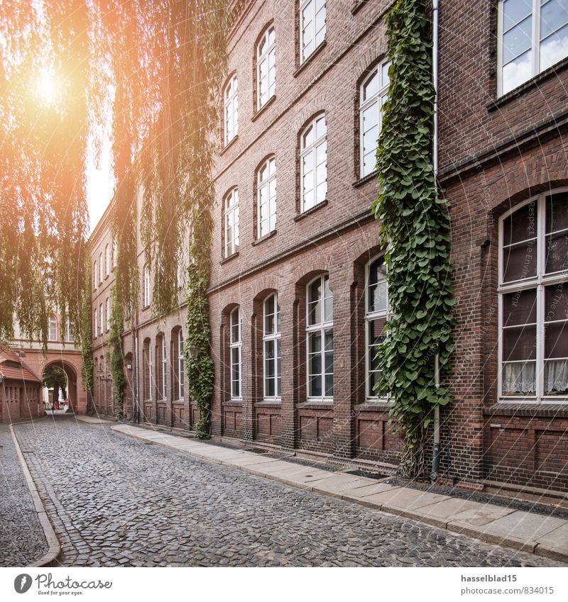 factory Reichtum Glück Städtereise Häusliches Leben Wohnung Haus Traumhaus Renovieren Umzug (Wohnungswechsel) Stadt Stadtzentrum Altstadt Industrieanlage Fabrik