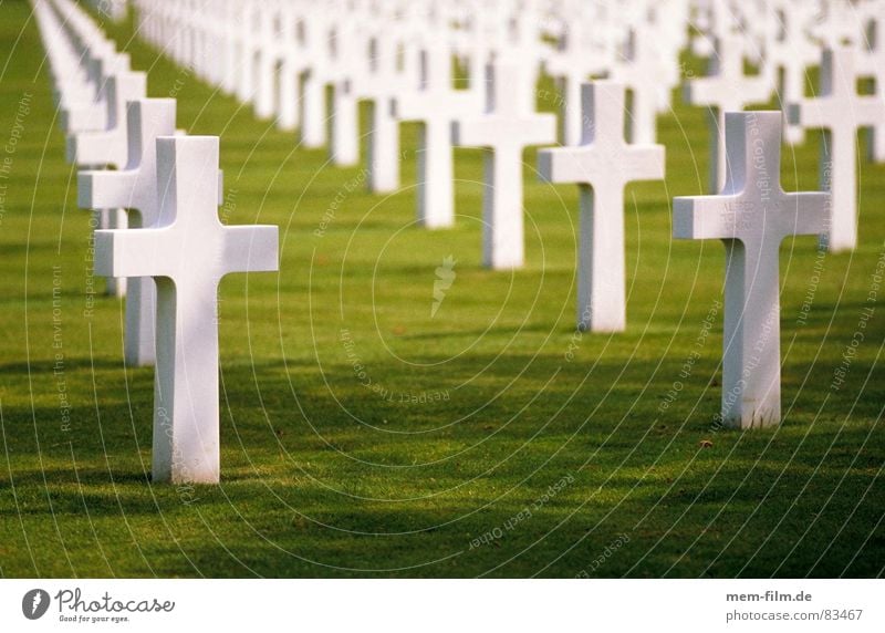 gräber 1 Denkmal Soldatenfriedhof sinnlos Grab Krieg Friedhof Weltkrieg Trauer Beerdigung Trauerfeier Grabmal Wehrdienst 9. Mai 1945 Verzweiflung Moral Rücken