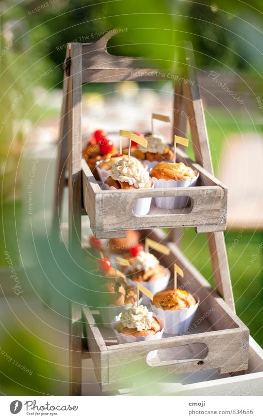 Cupcakes Kuchen Dessert Süßwaren Ernährung Picknick Fingerfood lecker süß Muffin Farbfoto Außenaufnahme Menschenleer Tag Schwache Tiefenschärfe