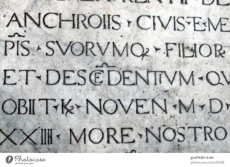 Ligaturen in Pisa Buchstaben Latein Italien Aufschrift Großbuchstabe Fototechnik Schriftzeichen PISA-Studie Stein