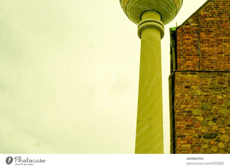 Fernsehturm und Marienkirche bilden einen Textfreiraum Architektur Berlin Stadt Deutschland Hauptstadt Sommer Städtereise Tourismus Wahrzeichen Mitte