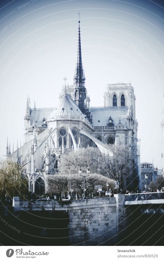 Notre Dame Tourismus Ausflug Mensch blau Gebäude Architektur Paris Farbfoto Außenaufnahme Licht Schatten Kontrast