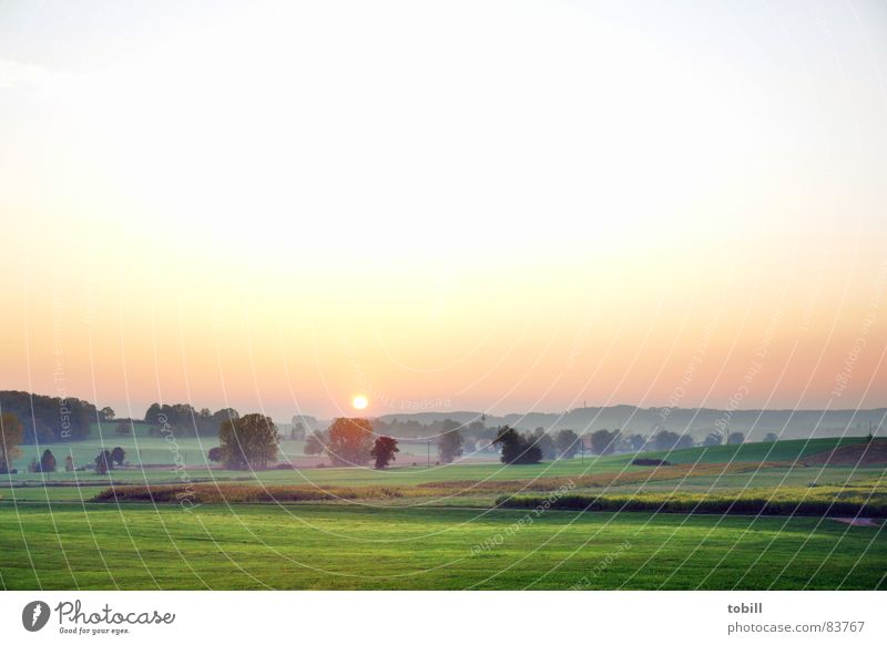 farbensuppe Morgen Nebel Licht grün rot Fantasygeschichte frisch Seele Extase Verlauf Baum Wiese Wald Morgendämmerung Treppe Hobbitland Seil verrückt Gefühle