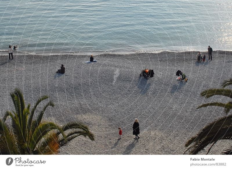 sonntagmorgenamstrand Santa Margherita Ligure Italien Steinstrand Ligurien Palme Meer Sonntag Freizeit & Hobby Winterstrand