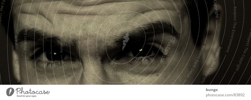 Jung altern Stirn Denken Verzweiflung anstrengen Stress skeptisch Mann Vergänglichkeit Konzentration young age Gesicht face Auge eye nose Nase Ohr ear