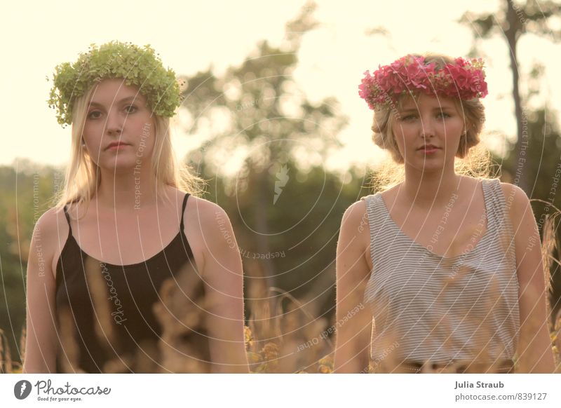 Salatkopf Feste & Feiern feminin Junge Frau Jugendliche Erwachsene 2 Mensch 18-30 Jahre Schönes Wetter Wiese Wald T-Shirt Blumenkranz blond Blick stehen nah
