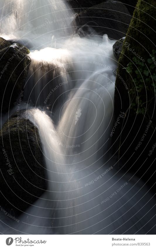 Feuchtigkeit | erfrischt die Haut Sommer Natur Landschaft Wasserfall Triberger Wasserfälle Schwarzwald Sehenswürdigkeit Stein beobachten entdecken fallen