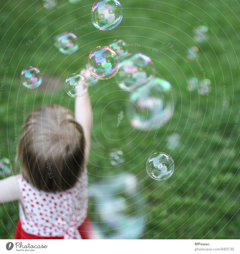 freude Mensch feminin Kind Kleinkind Mädchen 1 1-3 Jahre verrückt Seifenblase Kleid mehrfarbig Gras Spielen Freude Kindheit Blase fliegend Schweben träumen
