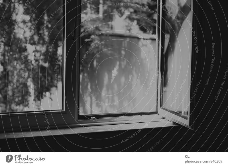 fenster zum hof Häusliches Leben Wohnung Raum Natur Baum Garten Mauer Wand Fenster dunkel lüften Fensterscheibe Fensterblick aufmachen Luft Schwarzweißfoto