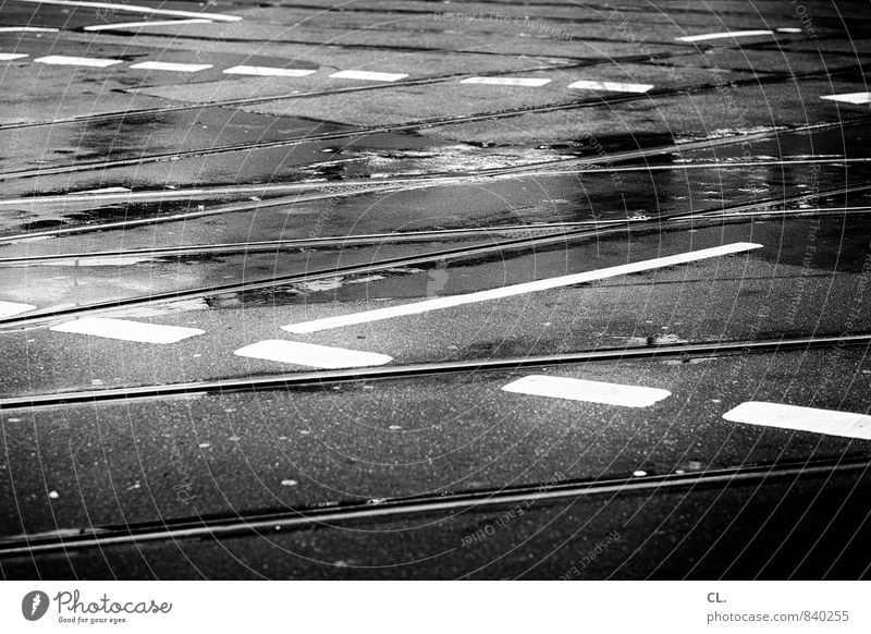rhythmusgefühl schlechtes Wetter Regen Stadt Verkehr Verkehrsmittel Verkehrswege Öffentlicher Personennahverkehr Berufsverkehr Straßenverkehr Autofahren