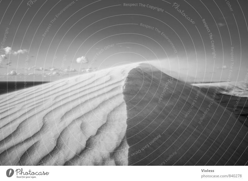 sandstorm Abenteuer Expedition Umwelt Natur Landschaft Urelemente Sand Sturm Nordsee Wüste schwarz weiß Düne Strukturen & Formen Sandsturm Wind Rubjerg Knude