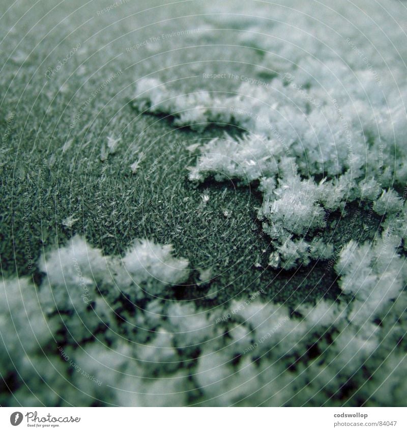 frost I Winter Schnee Wetter Eis Frost kalt Klima Eiskristall Raureif gefroren Eiszeit Farbfoto Gedeckte Farben Außenaufnahme Detailaufnahme Makroaufnahme