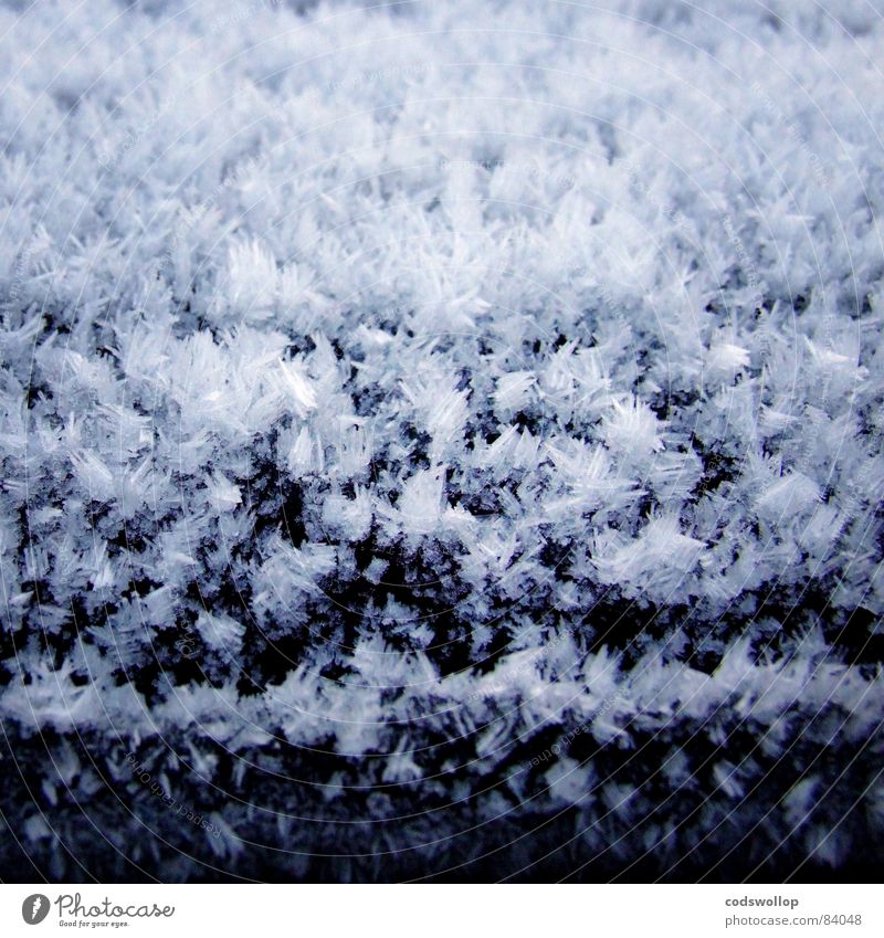 frost II Schnellzug kalt Eiskristall abstrakt Winter einfrierend Frost Raureif crystal abstract freezing weather Wetter cold freeze Schnee