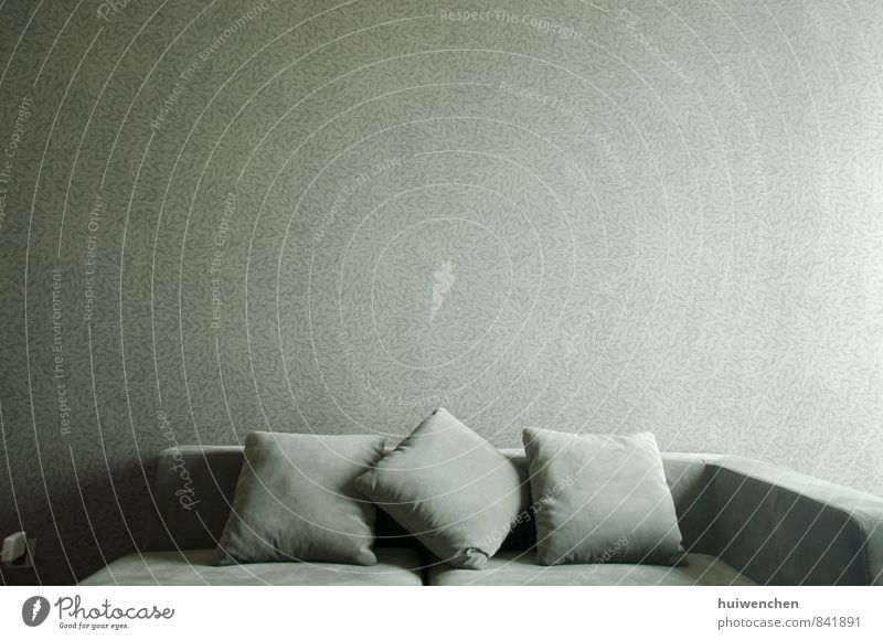 sofa Wohnung Innenarchitektur Möbel Sofa Wohnzimmer Kissen ruhig gemütlich grau wallpaper Farbfoto Innenaufnahme Menschenleer Tag