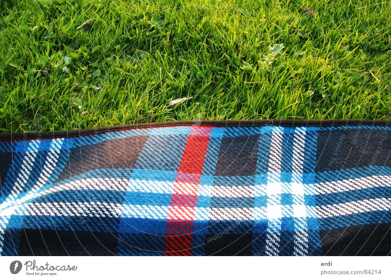 picknick Picknick Gras Wiese Pflanze Sommer Physik Muster weich mehrfarbig Erholung Freizeit & Hobby Natur Quadrat Rasen Wärme Decke Linie Zufriedenheit grass