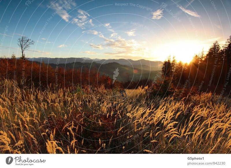 Abendstimmung im Herbst Berge u. Gebirge wandern Natur Landschaft Sonnenaufgang Sonnenuntergang Schönes Wetter Erholung ästhetisch blau mehrfarbig gelb rot