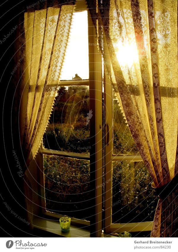 Abends ab 7 ist die Welt wieder in Ordnung herausschauen Fenster Vorhang Gardine Sonnenuntergang Geborgenheit Licht Herbst Abendsonne gelb gemütlich herzlich