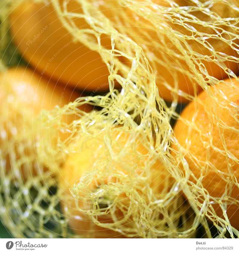goldene Zitronen Großmarkt Großpackung Gesundheit frisch Zitrusfrüchte gelb vitaminreich Vitamin lecker saftig Fruchtfleisch herb Farbe low fat tuttifrutti