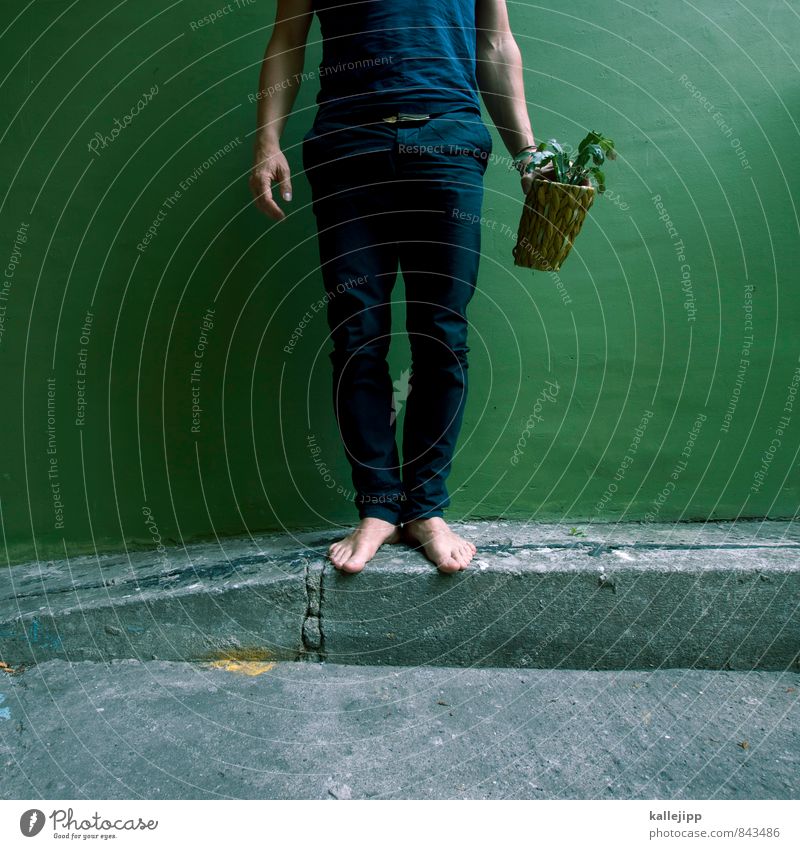 grünpflanze Mensch maskulin Mann Erwachsene Beine Fuß 1 Umwelt Natur Landschaft Pflanze Tier Grünpflanze Topfpflanze nachhaltig Kaktus stoppen stehen Mauer