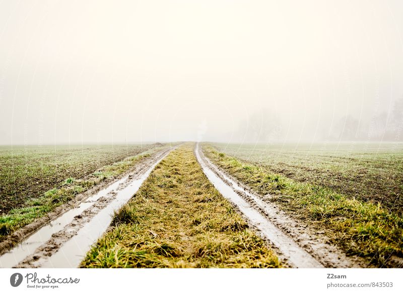 Am Land Umwelt Natur Landschaft Erde Klima Wetter schlechtes Wetter Nebel Wiese Feld Wege & Pfade Traktor dreckig einfach frisch kalt nachhaltig grau grün