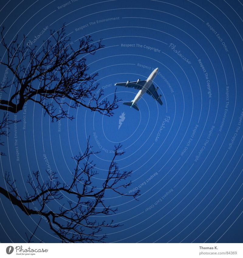 Kleines Flugzeug am Himmel die 100ste... Leitwerke Triebwerke Baum Ferien & Urlaub & Reisen Flugzeuglandung Fluggerät Düsenflugzeug Pilot hoch Maschine