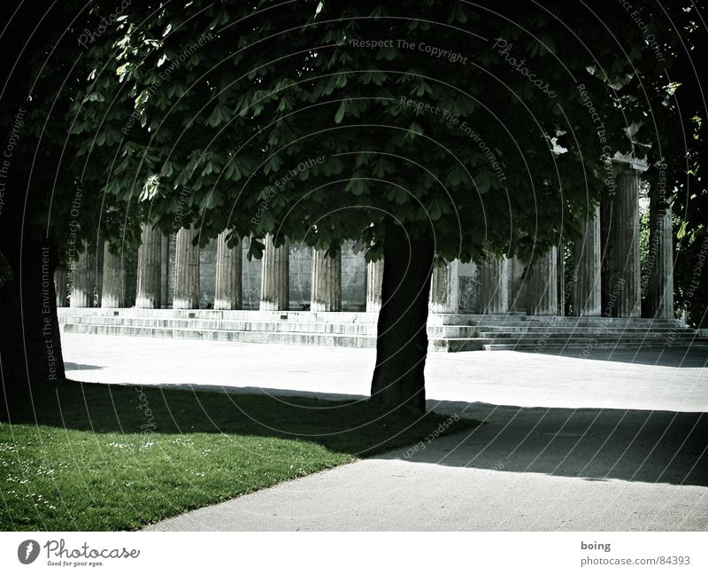 Sonne überall Liegewiese Kastanienbaum Baum Säule Wege & Pfade Frühling Physik Schatten Spaziergang ruhig Ruhe bewahren Planet Tempel Park Wien Gotteshäuser