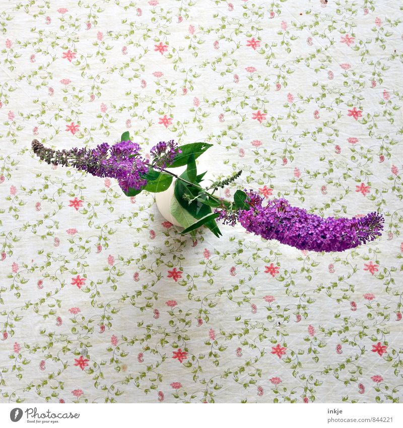 Da habt Ihr Euer Q ! Stil Häusliches Leben Dekoration & Verzierung Sommer Blume Blüte schmetterlingsflieder Fliederbusch Blumenvase Tischwäsche Blumenmuster