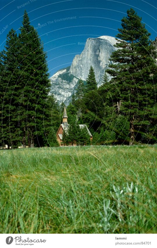 den Ausblick genießen Wiese Aussicht Nationalpark Yosemite NP Ferien & Urlaub & Reisen Freizeit & Hobby Waldwiese Waldlichtung Erholung grün Gras Aussehen USA