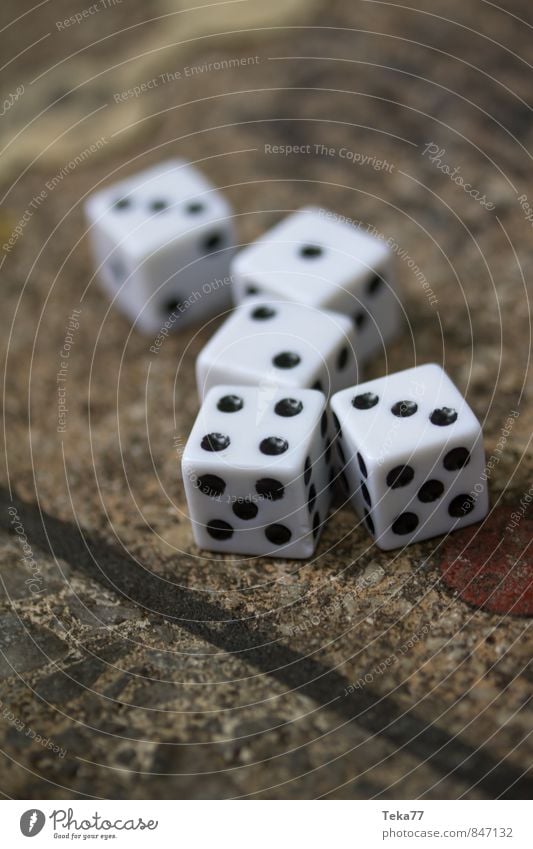 SIEBEN - Die Würfel sind gefallen Stein Zeichen Ziffern & Zahlen Zufriedenheit Glück Kommunizieren Spielen Brettspiel Farbfoto Außenaufnahme Nahaufnahme