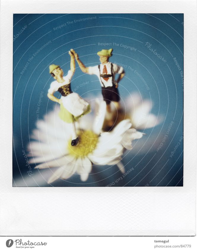 Bet you Look Good on the Dance Floor Polaroid Freude Oktoberfest Tanzen Blume Blüte Hut blau Glück Fröhlichkeit Lebensfreude Frühlingsgefühle Einigkeit
