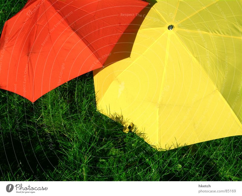 Rot-Gelb-Grün rot gelb grün Ampel Gras Wiese nass Frühling Regen regendicht wasserdicht Schatten wetterfest Gewitter ostereier suchen beschirmt Regenschirm
