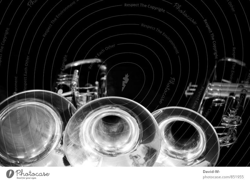 Trompete - Flügelhorn - Cornet = Blechblasinstrumente musizieren Nachtleben Entertainment Veranstaltung Musik Feste & Feiern Jahrmarkt Hochzeit Geburtstag