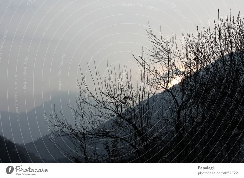 Morgenstimmung Natur Sonnenaufgang Sonnenuntergang Frühling Schönes Wetter Nebel Baum Alpen Berge u. Gebirge Ferne Unendlichkeit Stimmung Lebensfreude